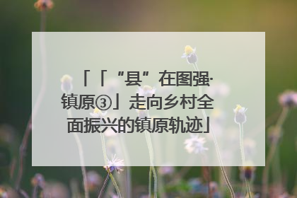 「“县”在图强·镇原③」走向乡村全面振兴的镇原轨迹