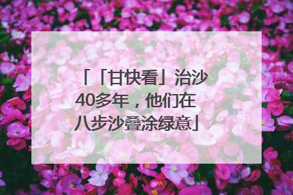「甘快看」治沙40多年，他们在八步沙叠涂绿意