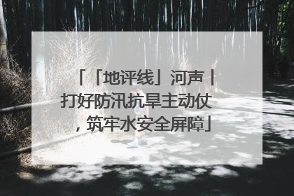 「地评线」河声丨打好防汛抗旱主动仗，筑牢水安全屏障