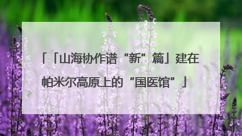 「山海协作谱“新”篇」建在帕米尔高原上的“国医馆”