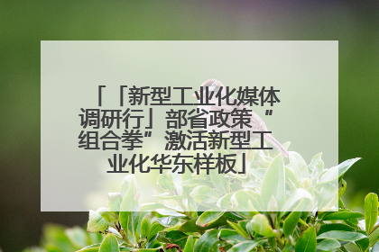 「新型工业化媒体调研行」部省政策“组合拳”激活新型工业化华东样板