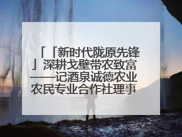 「新时代陇原先锋」深耕戈壁带农致富——记酒泉诚德农业农民专业合作社理事长范立德
