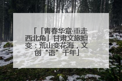 「青春华章·重走西北角」甘肃文旅嬗变：荒山变花海，文创“语”千年