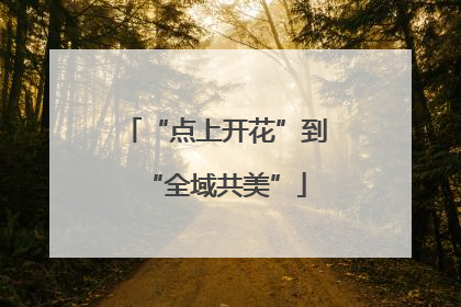 “点上开花”到“全域共美”