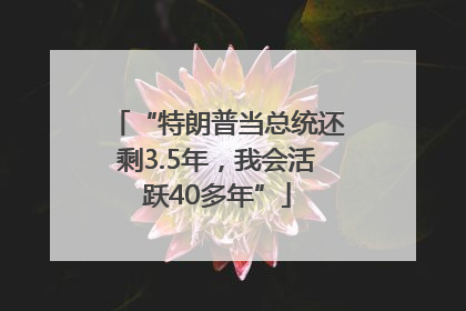 “特朗普当总统还剩3.5年，我会活跃40多年”