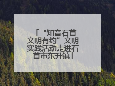 “知音石首 文明有约”文明实践活动走进石首市东升镇