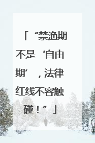 “禁渔期不是‘自由期’，法律红线不容触碰！”