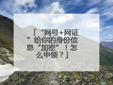 “网号+网证”给你的身份信息“加密”！怎么申领？