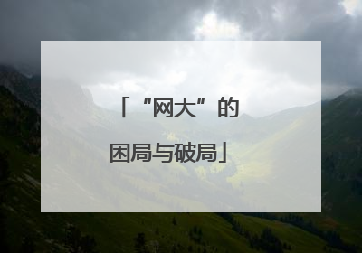 “网大”的困局与破局