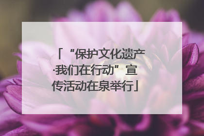 “保护文化遗产·我们在行动”宣传活动在泉举行