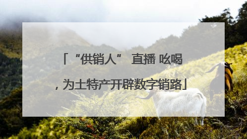 “供销人” 直播 吆喝，为土特产开辟数字销路