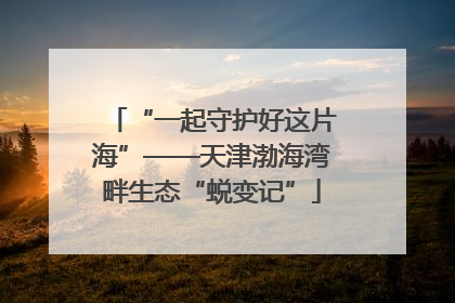 “一起守护好这片海”——天津渤海湾畔生态“蜕变记”