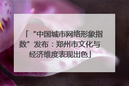 “中国城市网络形象指数”发布：郑州市文化与经济维度表现出色