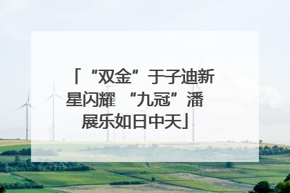 “双金”于子迪新星闪耀 “九冠”潘展乐如日中天