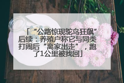 “公路惊现鸵鸟狂飙”后续：养殖户称它与同类打闹后“离家出走”，跑了1公里被找回