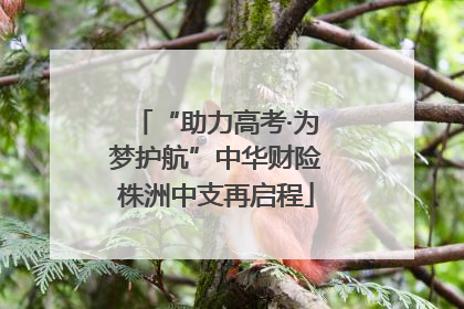 “助力高考·为梦护航”中华财险株洲中支再启程