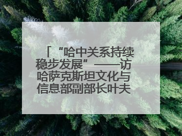 “哈中关系持续稳步发展”——访哈萨克斯坦文化与信息部副部长叶夫根尼·科切托夫