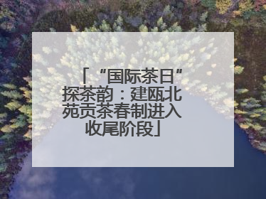 “国际茶日”探茶韵：建瓯北苑贡茶春制进入收尾阶段