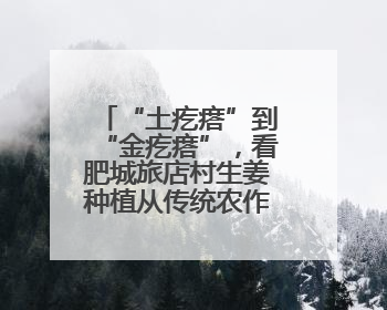 “土疙瘩”到“金疙瘩”，看肥城旅店村生姜种植从传统农作到“云上”热销的蝶变之路