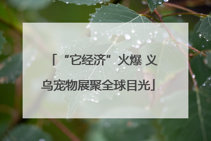 “它经济”火爆 义乌宠物展聚全球目光