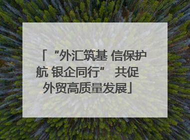 “外汇筑基 信保护航 银企同行” 共促外贸高质量发展
