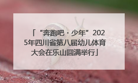 “奔跑吧・少年”2025年四川省第八届幼儿体育大会在乐山圆满举行