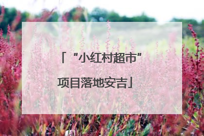 “小红村超市”项目落地安吉
