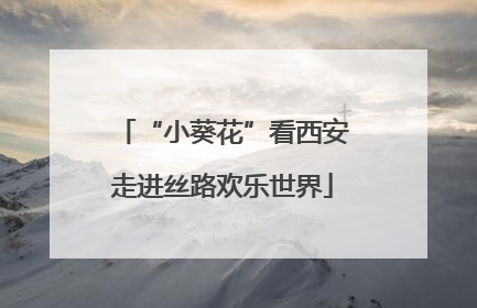 “小葵花”看西安走进丝路欢乐世界