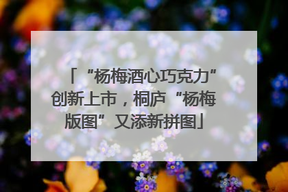 “杨梅酒心巧克力”创新上市，桐庐“杨梅版图”又添新拼图