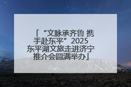 “文脉承齐鲁 携手赴东平”2025东平湖文旅走进济宁推介会圆满举办