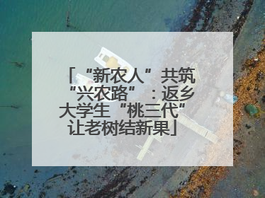“新农人”共筑“兴农路”：返乡大学生“桃三代”让老树结新果