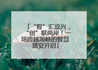 “智”汇嘉兴，“创”联两岸！一场跨越海峡的智慧盛宴开启