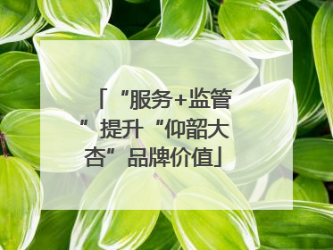 “服务+监管”提升“仰韶大杏”品牌价值