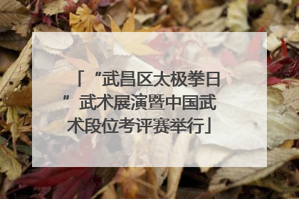 “武昌区太极拳日”武术展演暨中国武术段位考评赛举行