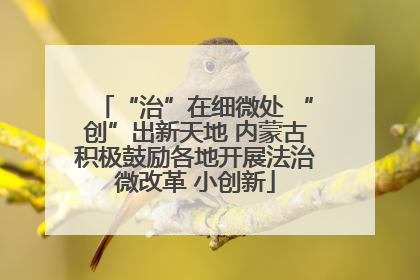 “治”在细微处 “创”出新天地 内蒙古积极鼓励各地开展法治微改革 小创新