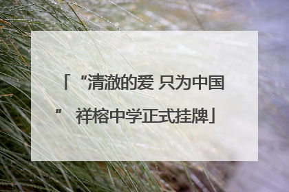 “清澈的爱 只为中国” 祥榕中学正式挂牌