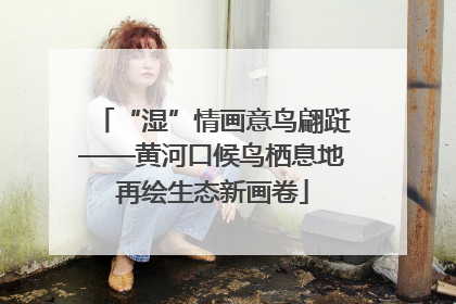 “湿”情画意鸟翩跹——黄河口候鸟栖息地再绘生态新画卷