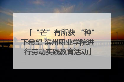 “芒”有所获 “种”下希望 滨州职业学院进行劳动实践教育活动
