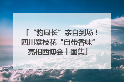 “豹局长”亲自到场！四川攀枝花“自带香味”亮相西博会丨图集