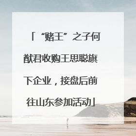 “赌王”之子何猷君收购王思聪旗下企业，接盘后前往山东参加活动