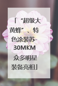 “超级大黄蜂”、特色涂装苏-30MKM 众多明星装备亮相