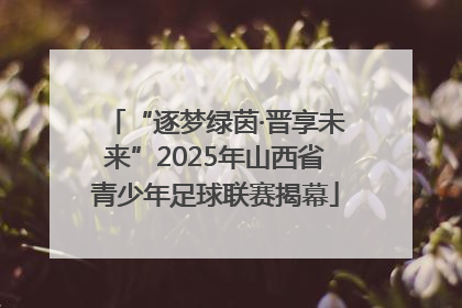 “逐梦绿茵·晋享未来”2025年山西省青少年足球联赛揭幕
