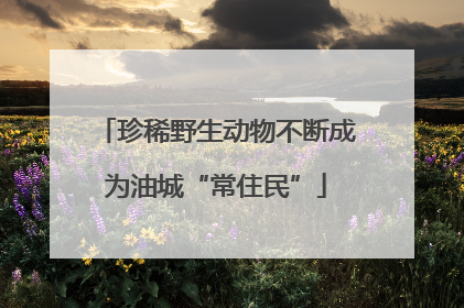 珍稀野生动物不断成为油城“常住民”