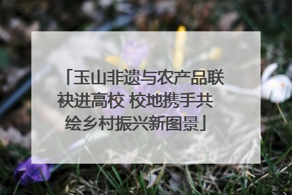 玉山非遗与农产品联袂进高校 校地携手共绘乡村振兴新图景