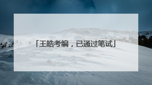 王皓考编，已通过笔试