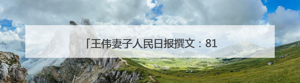王伟妻子人民日报撰文：81192，一架永不停航的战机