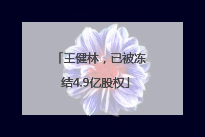 王健林，已被冻结4.9亿股权