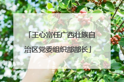 王心富任广西壮族自治区党委组织部部长