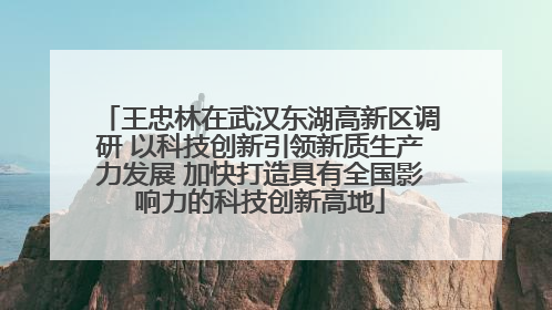王忠林在武汉东湖高新区调研 以科技创新引领新质生产力发展 加快打造具有全国影响力的科技创新高地
