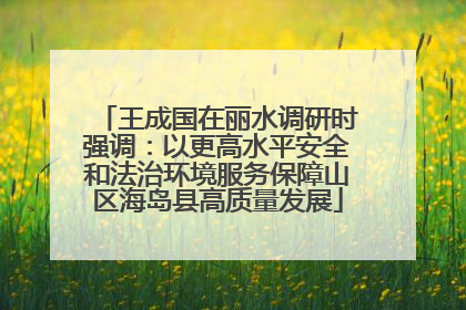 王成国在丽水调研时强调：以更高水平安全和法治环境服务保障山区海岛县高质量发展